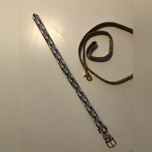 White dog collar with leash available in 5 sizes.